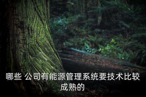 哪些 公司有能源管理系統(tǒng)要技術比較成熟的