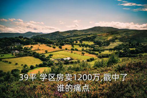 北京小學(xué)學(xué)區(qū)房價格,北京學(xué)區(qū)房上小學(xué)以后可以賣嗎