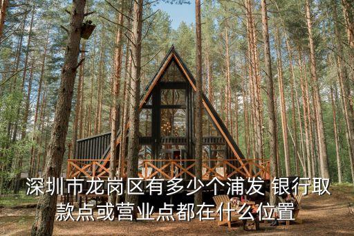  深圳市龍崗區(qū)有多少個(gè)浦發(fā) 銀行取款點(diǎn)或營業(yè)點(diǎn)都在什么位置