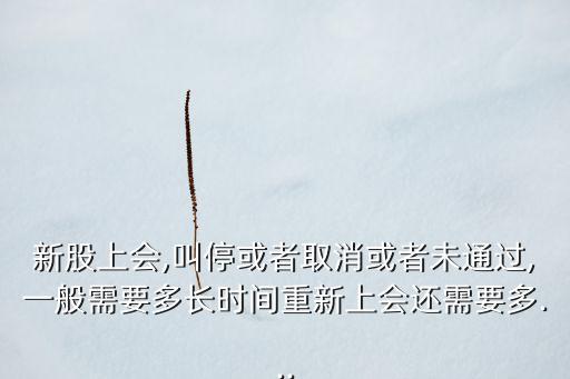 新股上會,叫停或者取消或者未通過,一般需要多長時間重新上會還需要多...