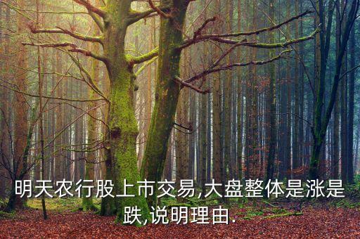 農業(yè)銀行股票發(fā)展前景,濰柴動力股票發(fā)展前景怎么樣