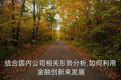 結(jié)合國內(nèi)公司相關形勢分析,如何利用 金融創(chuàng)新來發(fā)展