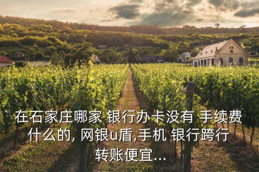 在石家莊哪家 銀行辦卡沒有 手續(xù)費什么的, 網銀u盾,手機 銀行跨行 轉賬便宜...