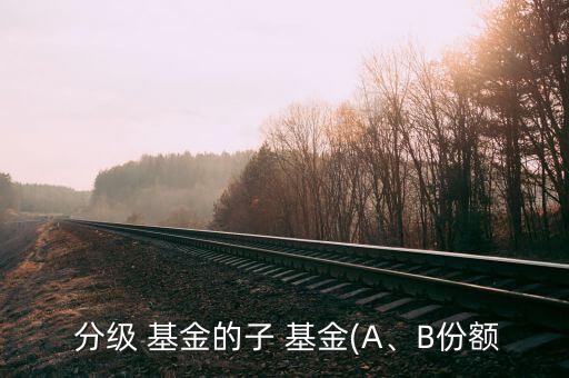  分級(jí) 基金的子 基金(A、B份額