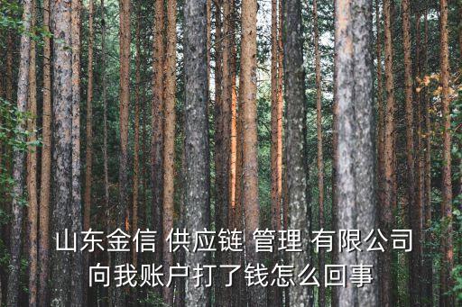 山東銀通供應(yīng)鏈管理有限公司,山東博億天愛(ài)供應(yīng)鏈管理有限公司