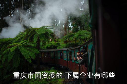 重慶水務(wù)集團下屬公司,甘州區(qū)水務(wù)集團下屬公司
