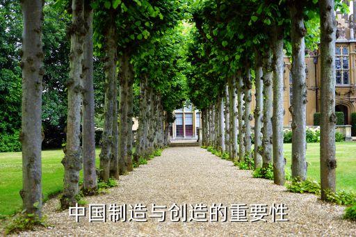 中國拉美化,中國的拉美化現(xiàn)象
