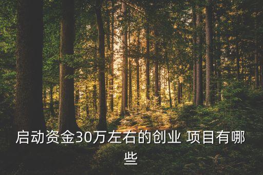 30萬上下投資什么項(xiàng)目,我有30萬應(yīng)該投資什么