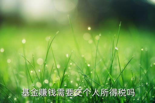  基金賺錢(qián)需要交個(gè)人所得稅嗎