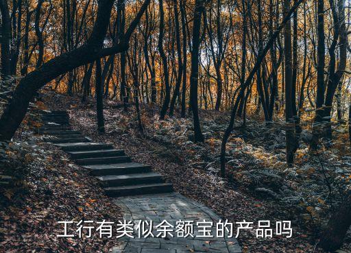 工行有類似余額寶的產品嗎