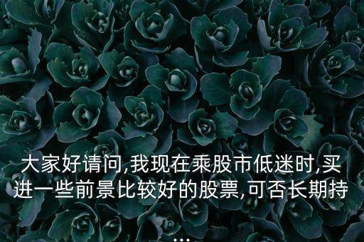 大家好請問,我現(xiàn)在乘股市低迷時(shí),買進(jìn)一些前景比較好的股票,可否長期持...