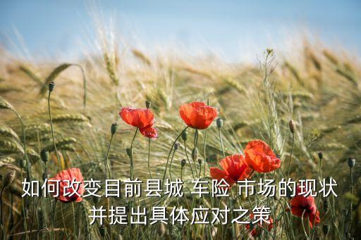 如何改變目前縣城 車險(xiǎn) 市場的現(xiàn)狀并提出具體應(yīng)對之策