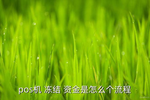 pos機 凍結 資金是怎么個流程
