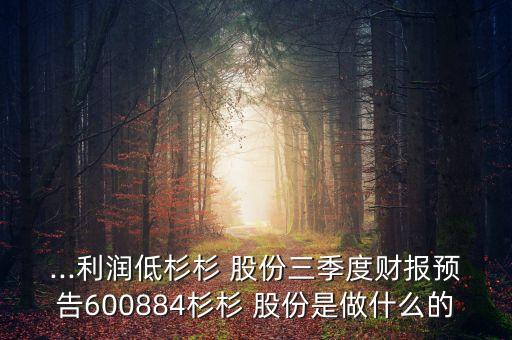 ...利潤低杉杉 股份三季度財(cái)報(bào)預(yù)告600884杉杉 股份是做什么的