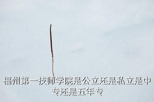 福州第一技師學(xué)院是公立還是私立是中專(zhuān)還是五年專(zhuān)
