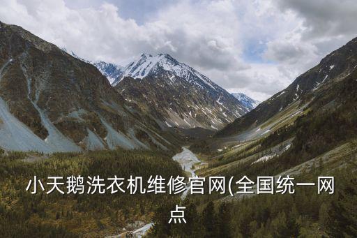 東方世紀(jì)小天鵝電器有限公司,無錫小天鵝電器有限公司待遇怎么樣