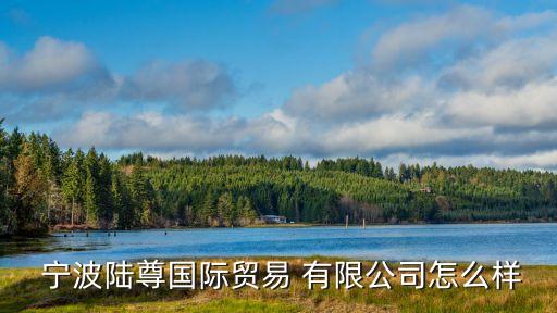  寧波陸尊國(guó)際貿(mào)易 有限公司怎么樣