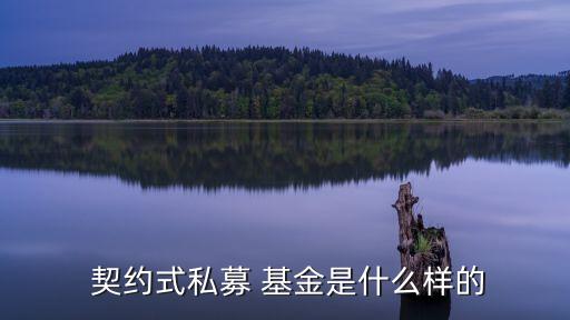 契約型基金框架協議,什么叫契約型基金