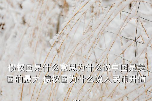  債權(quán)國(guó)是什么意思為什么說中國(guó)是美國(guó)的最大 債權(quán)國(guó)為什么說人民幣升值...