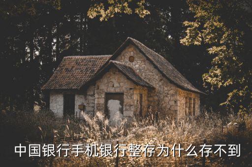  中國銀行手機(jī)銀行整存為什么存不到