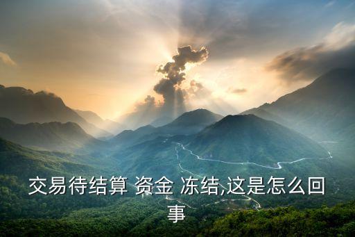 萬(wàn)付支付公司資金凍結(jié),公司工程資金支付流程