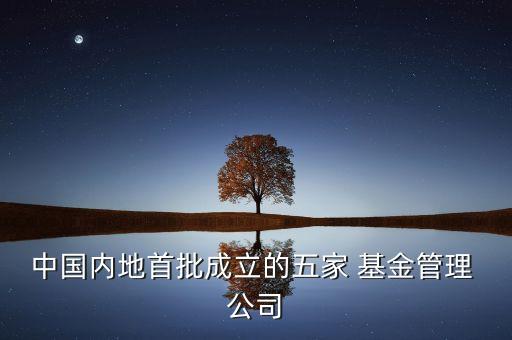 中國內(nèi)地首批成立的五家 基金管理 公司