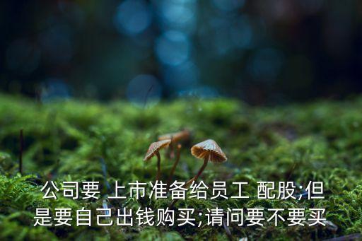  公司要 上市準(zhǔn)備給員工 配股;但是要自己出錢(qián)購(gòu)買(mǎi);請(qǐng)問(wèn)要不要買(mǎi)