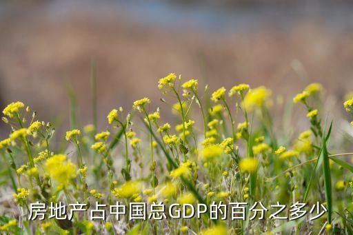  房地產(chǎn)占中國總GDP的百分之多少