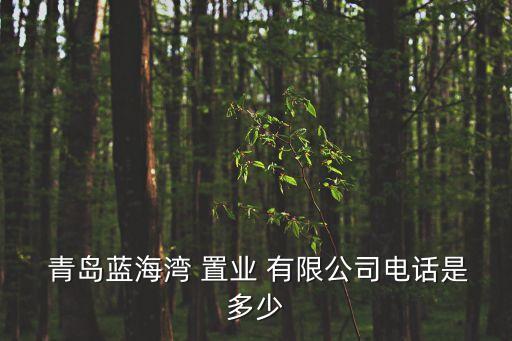 青島藍(lán)海灣 置業(yè) 有限公司電話(huà)是多少