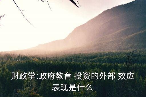 投資效應