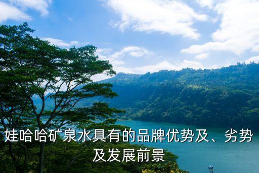 娃哈哈礦泉水具有的品牌優(yōu)勢及、劣勢及發(fā)展前景