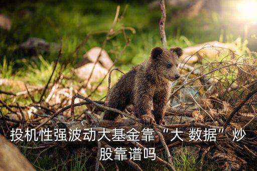 博時(shí)中證淘金大數(shù)據(jù)100指數(shù)基金