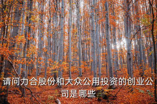 請(qǐng)問力合股份和大眾公用投資的創(chuàng)業(yè)公司是哪些
