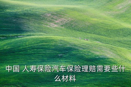 中國人壽機(jī)動車損失險