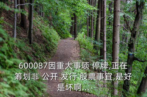 600087因重大事項(xiàng) 停牌,正在籌劃非 公開 發(fā)行 股票事宜,是好是壞啊...