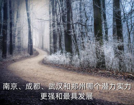 南京、成都、武漢和鄭州哪個潛力實力更強和最具發(fā)展