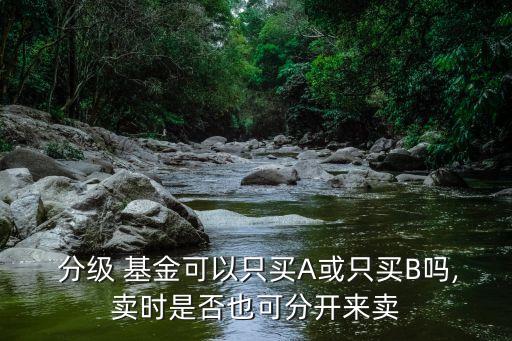  分級(jí) 基金可以只買(mǎi)A或只買(mǎi)B嗎,賣(mài)時(shí)是否也可分開(kāi)來(lái)賣(mài)