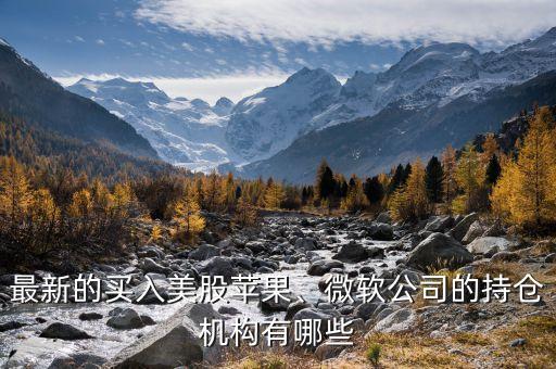 最新的買入美股蘋果、微軟公司的持倉機(jī)構(gòu)有哪些