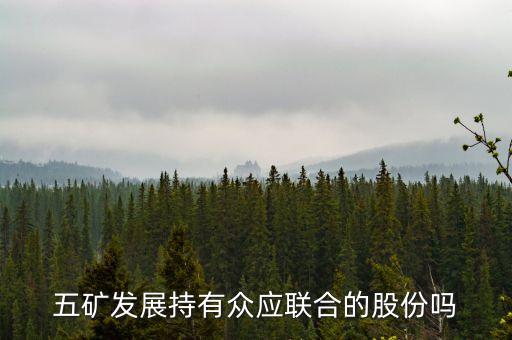 五礦發(fā)展持有眾應(yīng)聯(lián)合的股份嗎