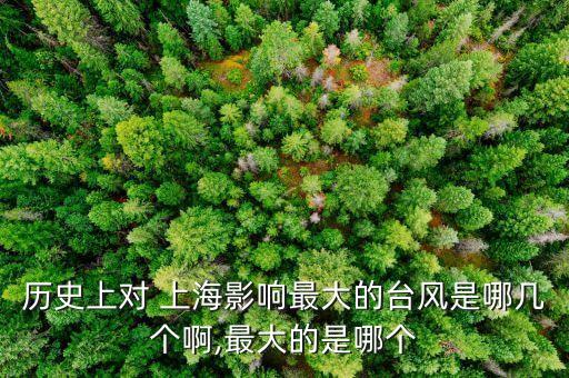歷史上對 上海影響最大的臺風是哪幾個啊,最大的是哪個