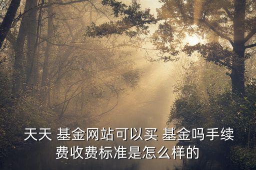  天天 基金網(wǎng)站可以買(mǎi) 基金嗎手續(xù)費(fèi)收費(fèi)標(biāo)準(zhǔn)是怎么樣的
