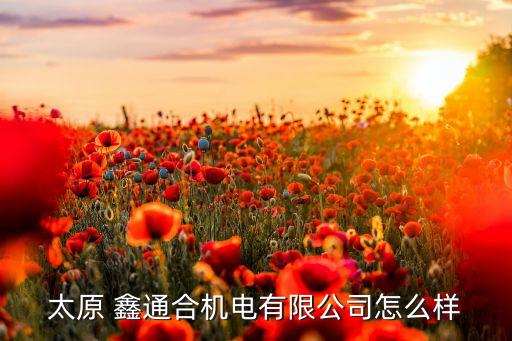 上海鑫通投資,上海通怡投資什么風格