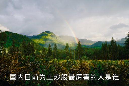 國內目前為止炒股最厲害的人是誰