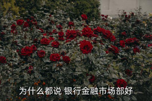為什么都說 銀行金融市場(chǎng)部好