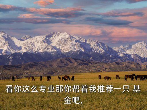 招商基金張國強,招商社會責(zé)任基金