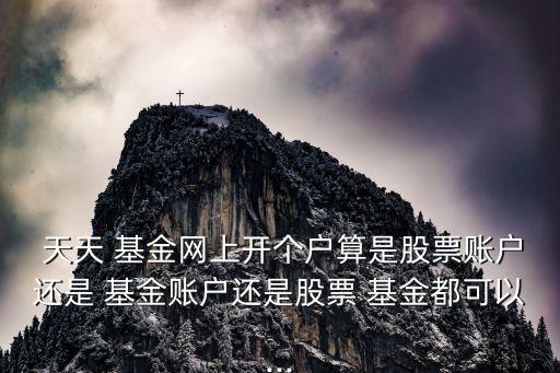  天天 基金網(wǎng)上開(kāi)個(gè)戶算是股票賬戶還是 基金賬戶還是股票 基金都可以...