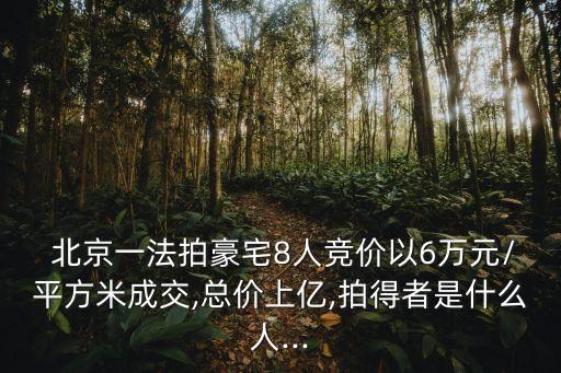  北京一法拍豪宅8人競(jìng)價(jià)以6萬元/平方米成交,總價(jià)上億,拍得者是什么人...