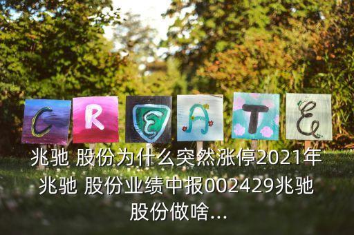兆馳 股份為什么突然漲停2021年兆馳 股份業(yè)績中報(bào)002429兆馳 股份做啥...