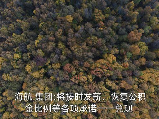  海航 集團:將按時發(fā)薪、恢復(fù)公積金比例等各項承諾一一兌現(xiàn)