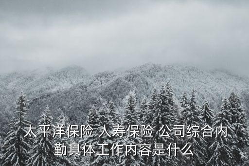  太平洋保險 人壽保險 公司綜合內勤具體工作內容是什么
